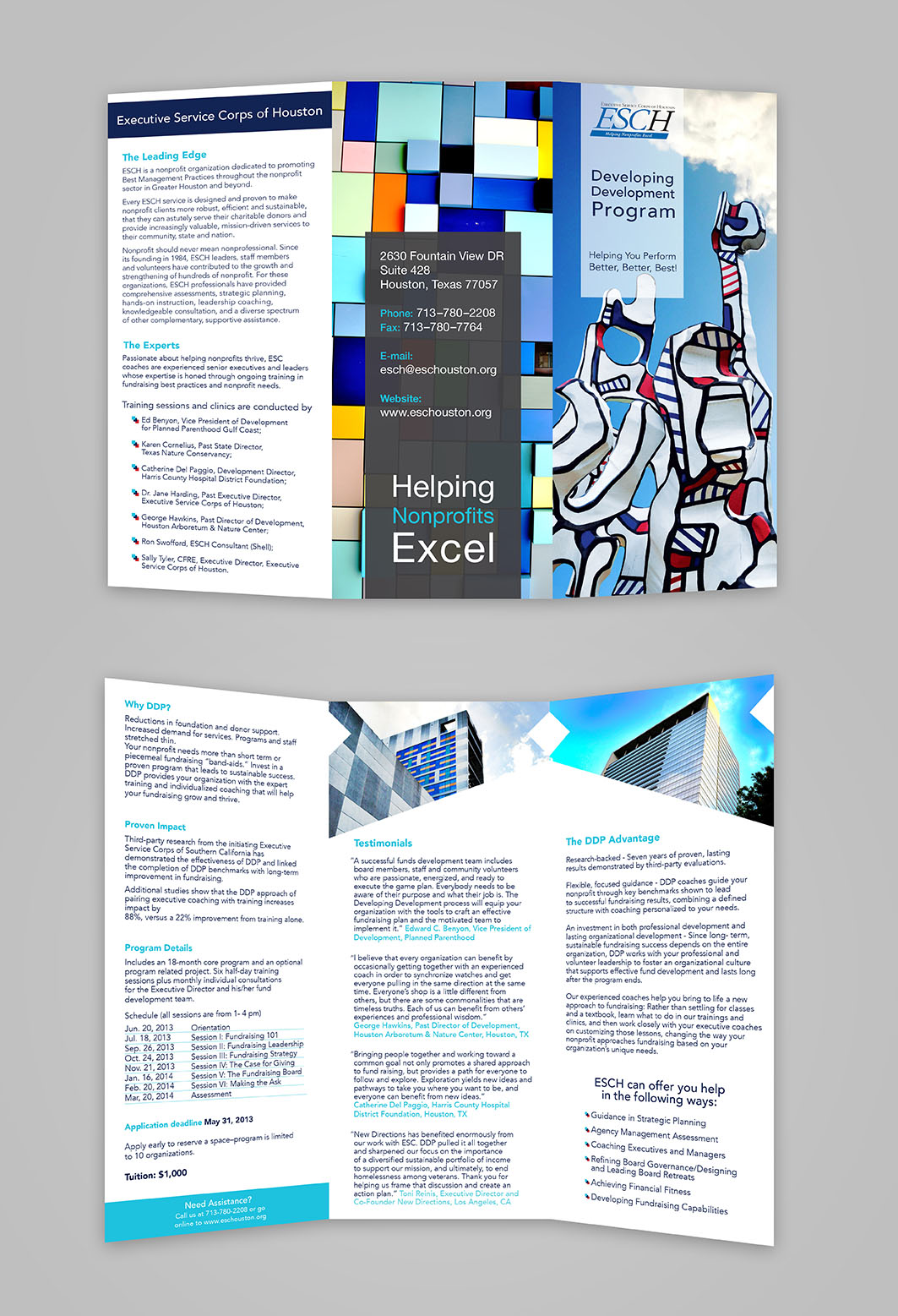 Executive Service Corps of Houston Brochure