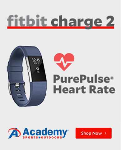 Fitbit Charge 2 Animation